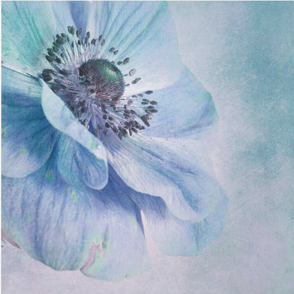 A close-up, artistic photograph of a large blue anemone flower with delicate, layered petals. The center of the flower is a dark, textured black and purple. The background is a soft, textured light blue. The entire image is enclosed in a light-colored wooden frame. Decor