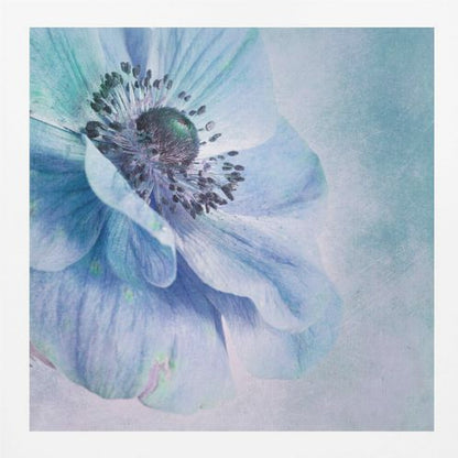A close-up, artistic photograph of a large blue anemone flower with delicate, layered petals. The center of the flower is a dark, textured black and purple. The background is a soft, textured light blue. The entire image is enclosed in a light-colored wooden frame. Decor