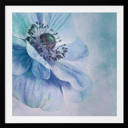 A close-up, artistic photograph of a large blue anemone flower with delicate, layered petals. The center of the flower is a dark, textured black and purple. The background is a soft, textured light blue. The entire image is enclosed in a light-colored wooden frame. Decor