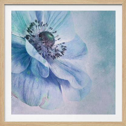 A close-up, artistic photograph of a large blue anemone flower with delicate, layered petals. The center of the flower is a dark, textured black and purple. The background is a soft, textured light blue. The entire image is enclosed in a light-colored wooden frame. Decor