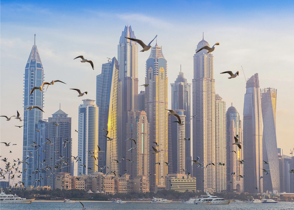 A framed artwork of the Dubai city skyline, featuring modern skyscrapers bathed in the golden light of sunset. A flock of seagulls flies in the foreground above the water, where several yachts are docked. Artwork
