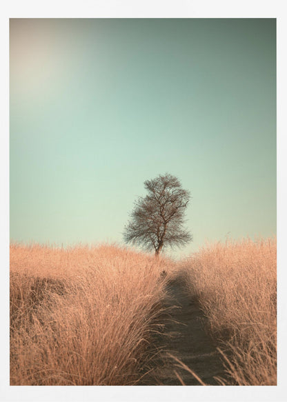 A minimalist photograph of a single bare tree standing alone on a gentle slope in a field of golden, dried grass under a clear, pale teal sky. A narrow path winds its way through the tall grass toward the tree. Print