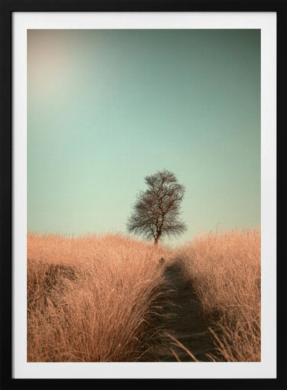 A minimalist photograph of a single bare tree standing alone on a gentle slope in a field of golden, dried grass under a clear, pale teal sky. A narrow path winds its way through the tall grass toward the tree. Print