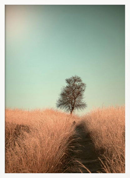 A minimalist photograph of a single bare tree standing alone on a gentle slope in a field of golden, dried grass under a clear, pale teal sky. A narrow path winds its way through the tall grass toward the tree. Print