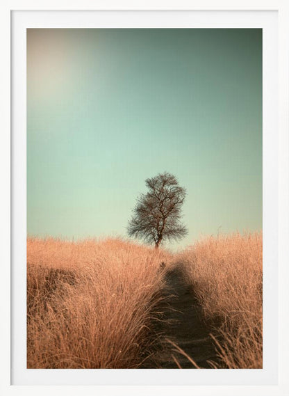 A minimalist photograph of a single bare tree standing alone on a gentle slope in a field of golden, dried grass under a clear, pale teal sky. A narrow path winds its way through the tall grass toward the tree. Print