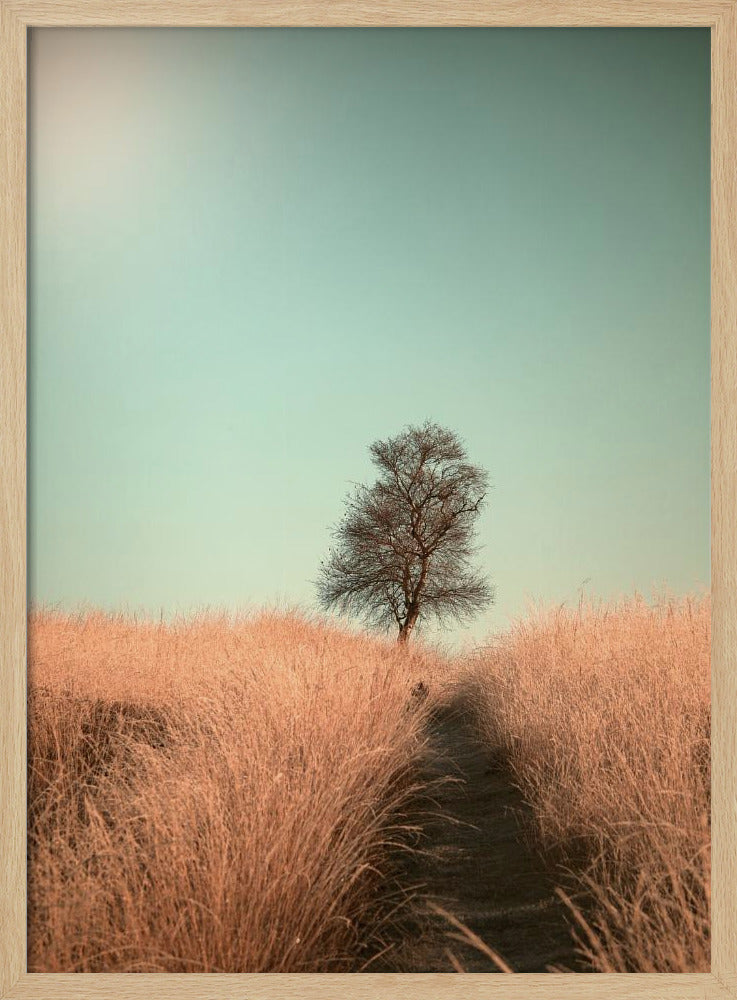 A minimalist photograph of a single bare tree standing alone on a gentle slope in a field of golden, dried grass under a clear, pale teal sky. A narrow path winds its way through the tall grass toward the tree. Print