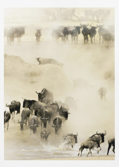 A hazy, sepia-toned photograph depicting the great wildebeest migration. A large herd is seen crossing a river, kicking up dust and water, creating a dynamic and atmospheric scene of wildlife in motion. Artwork