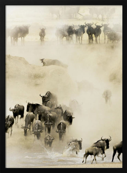 A hazy, sepia-toned photograph depicting the great wildebeest migration. A large herd is seen crossing a river, kicking up dust and water, creating a dynamic and atmospheric scene of wildlife in motion. Artwork