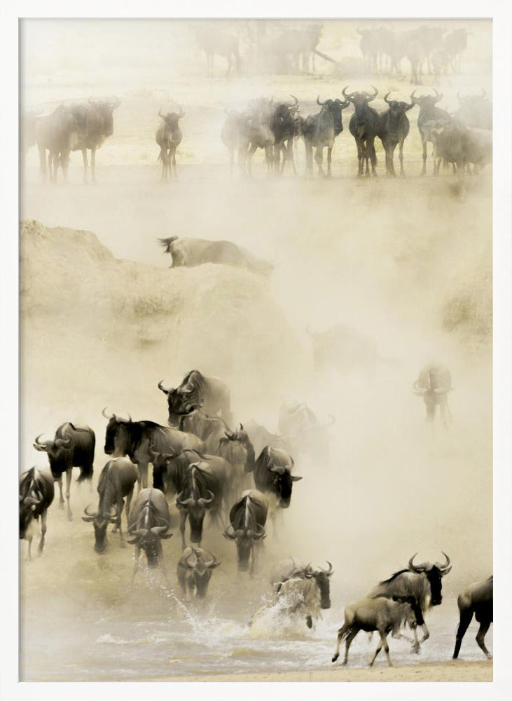 A hazy, sepia-toned photograph depicting the great wildebeest migration. A large herd is seen crossing a river, kicking up dust and water, creating a dynamic and atmospheric scene of wildlife in motion. Artwork