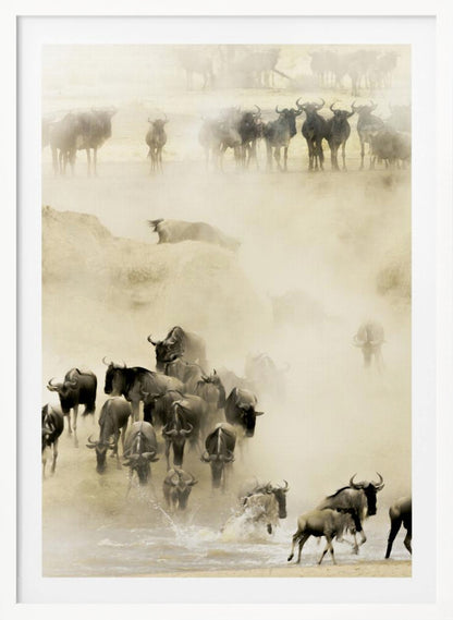 A hazy, sepia-toned photograph depicting the great wildebeest migration. A large herd is seen crossing a river, kicking up dust and water, creating a dynamic and atmospheric scene of wildlife in motion. Artwork