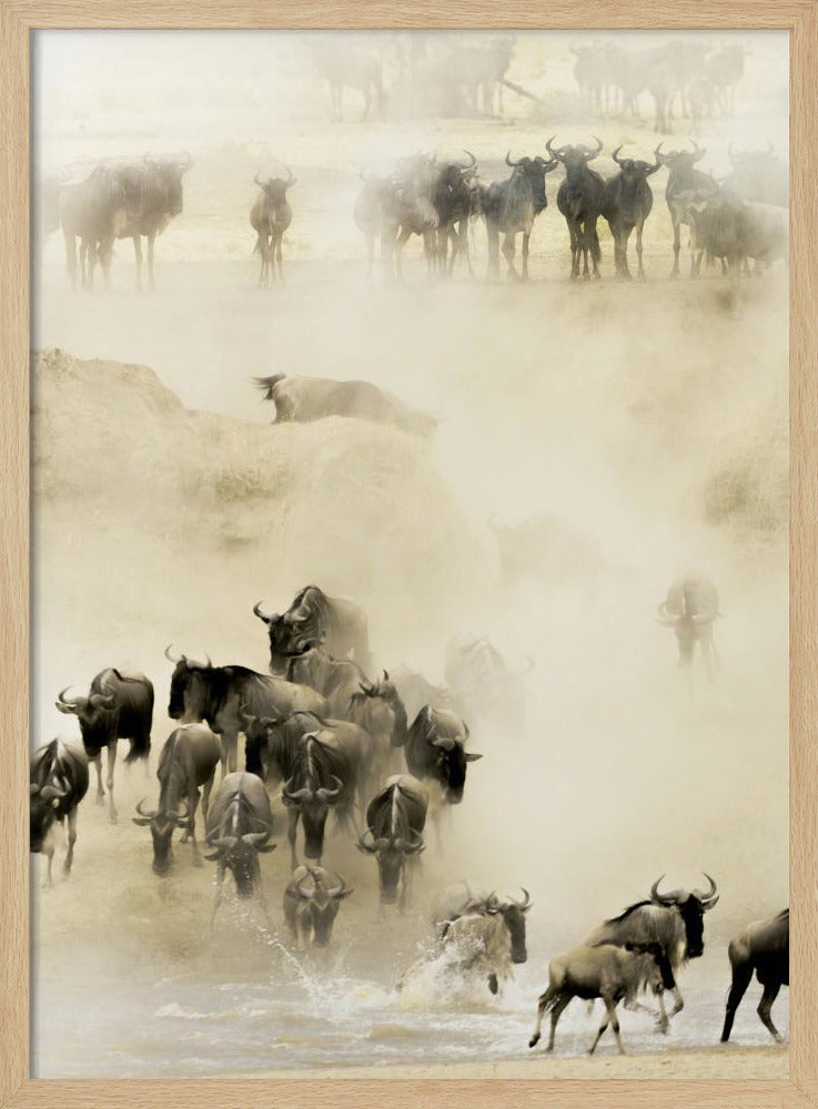 A hazy, sepia-toned photograph depicting the great wildebeest migration. A large herd is seen crossing a river, kicking up dust and water, creating a dynamic and atmospheric scene of wildlife in motion. Artwork