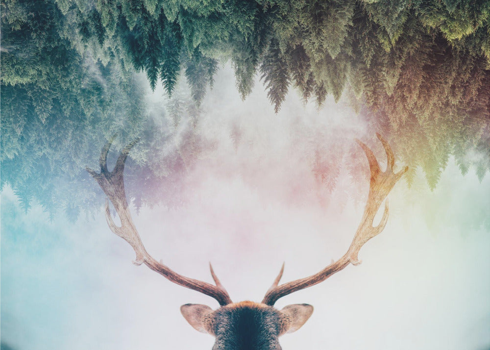 A surreal double-exposure artwork featuring the back of a deer's head with large antlers, blended with an image of a misty pine forest. The forest is reflected above the antlers against a soft, pastel-colored background, all enclosed in a silver frame. Print