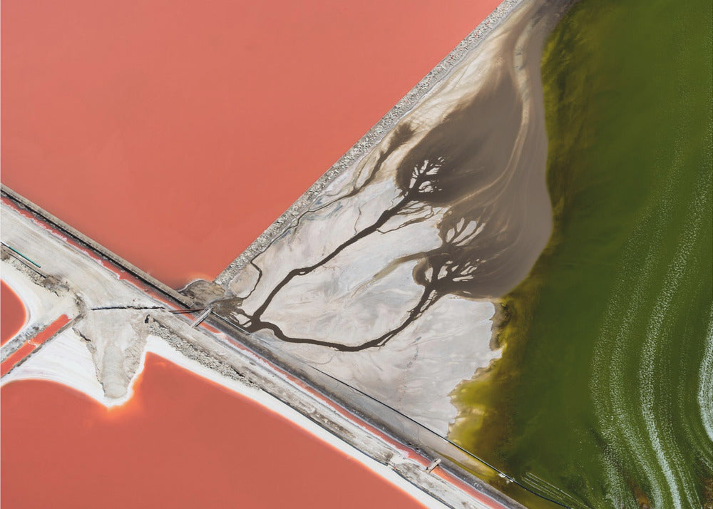 An abstract aerial photograph in a silver frame, showing a stark landscape divided into sections of coral-red water, green water, and a white salt flat with dark, tree-like river patterns. Print
