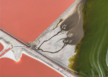 An abstract aerial photograph in a silver frame, showing a stark landscape divided into sections of coral-red water, green water, and a white salt flat with dark, tree-like river patterns. Print