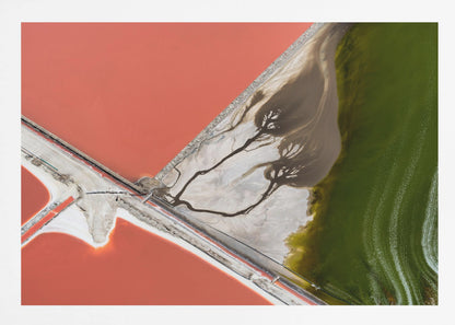 An abstract aerial photograph in a silver frame, showing a stark landscape divided into sections of coral-red water, green water, and a white salt flat with dark, tree-like river patterns. Print