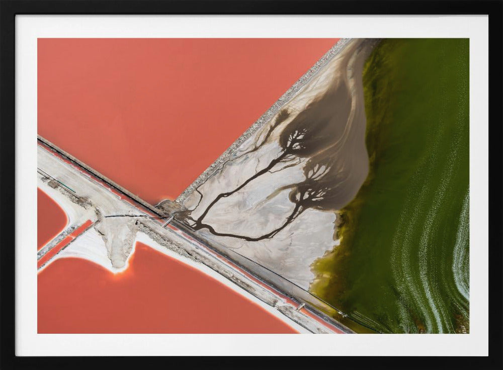 An abstract aerial photograph in a silver frame, showing a stark landscape divided into sections of coral-red water, green water, and a white salt flat with dark, tree-like river patterns. Print