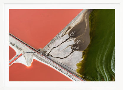 An abstract aerial photograph in a silver frame, showing a stark landscape divided into sections of coral-red water, green water, and a white salt flat with dark, tree-like river patterns. Print