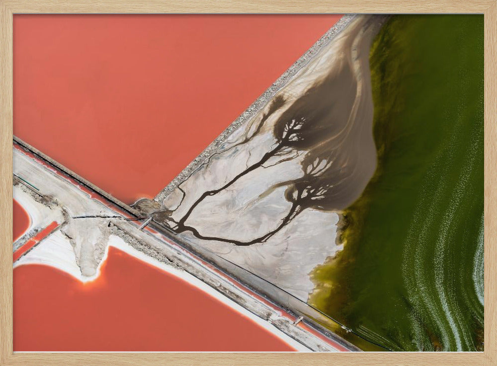 An abstract aerial photograph in a silver frame, showing a stark landscape divided into sections of coral-red water, green water, and a white salt flat with dark, tree-like river patterns. Print