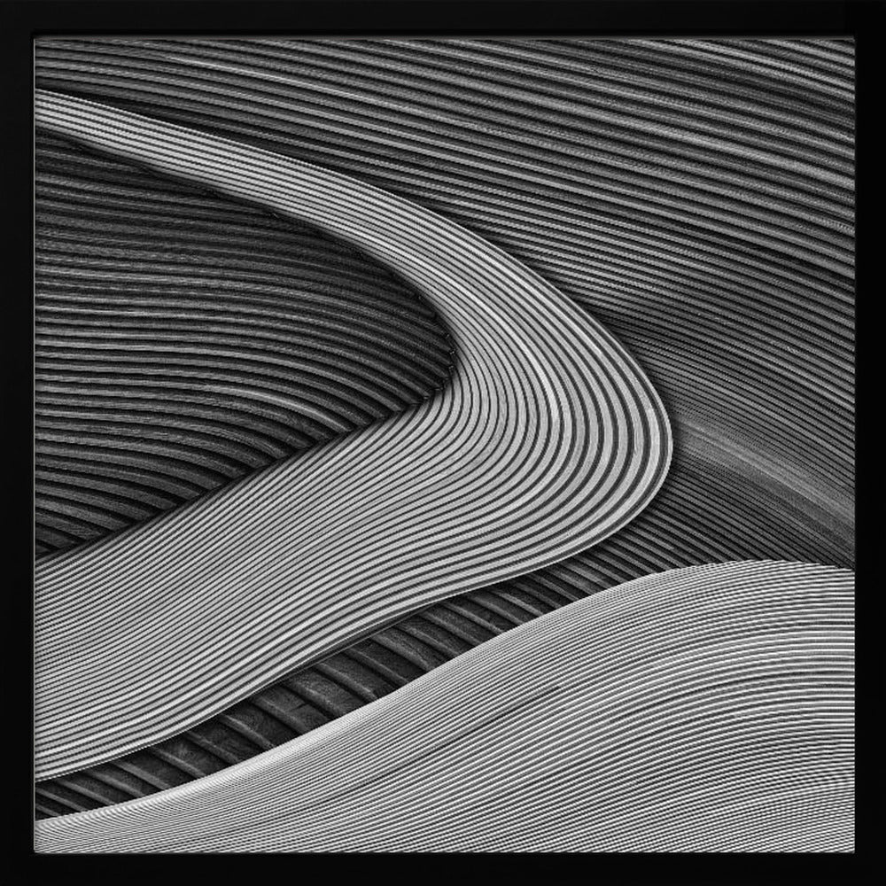 A framed black and white abstract artwork featuring a dynamic composition of flowing, wave-like forms created from dense, parallel lines. Lighter-toned curves sweep across the canvas, overlapping darker areas and creating a sense of depth, texture, and movement. Decor