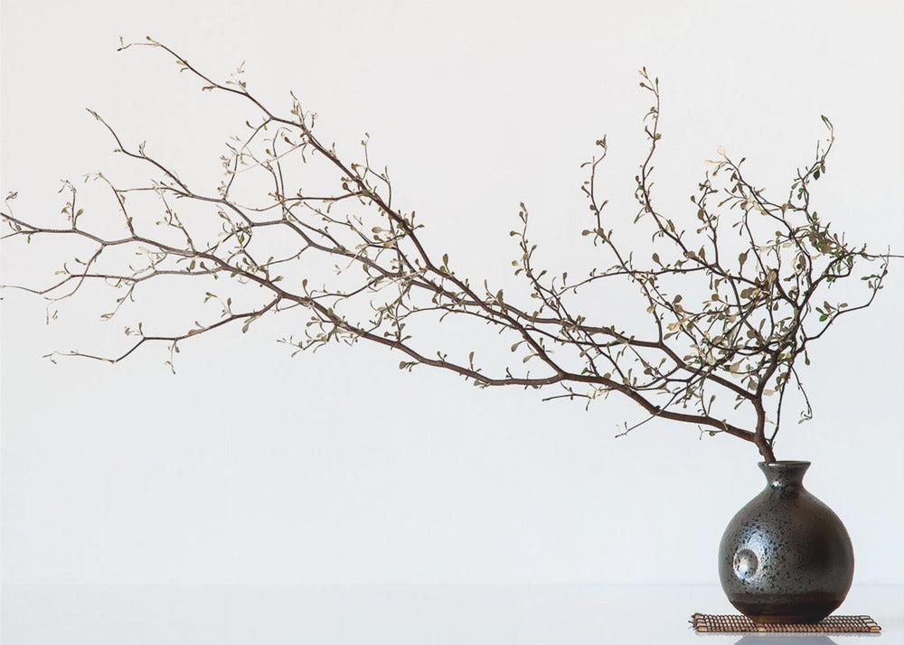 A minimalist still life of a long, delicate branch with small leaves arranged horizontally in a small, dark, round ceramic vase. The background is stark white, creating a high-contrast, serene composition, all within a silver frame. Print