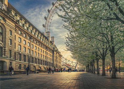 A scenic view of London's South Bank at sunset, with the London Eye visible in the background, a grand historic building on the left, and a row of white blossoming trees lining the sunlit promenade on the right. Wall Art