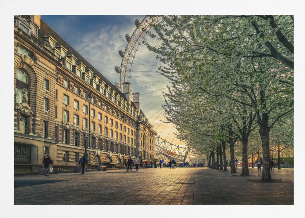 A scenic view of London's South Bank at sunset, with the London Eye visible in the background, a grand historic building on the left, and a row of white blossoming trees lining the sunlit promenade on the right. Wall Art