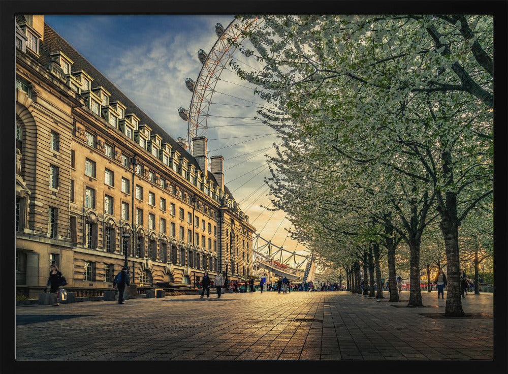 A scenic view of London's South Bank at sunset, with the London Eye visible in the background, a grand historic building on the left, and a row of white blossoming trees lining the sunlit promenade on the right. Wall Art