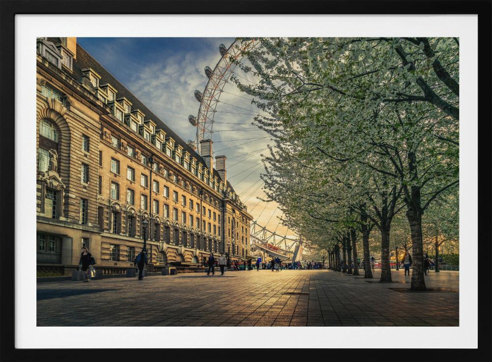 A scenic view of London's South Bank at sunset, with the London Eye visible in the background, a grand historic building on the left, and a row of white blossoming trees lining the sunlit promenade on the right. Wall Art