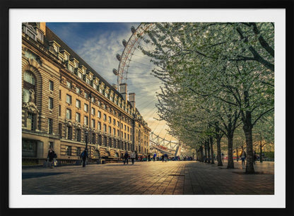 A scenic view of London's South Bank at sunset, with the London Eye visible in the background, a grand historic building on the left, and a row of white blossoming trees lining the sunlit promenade on the right. Wall Art