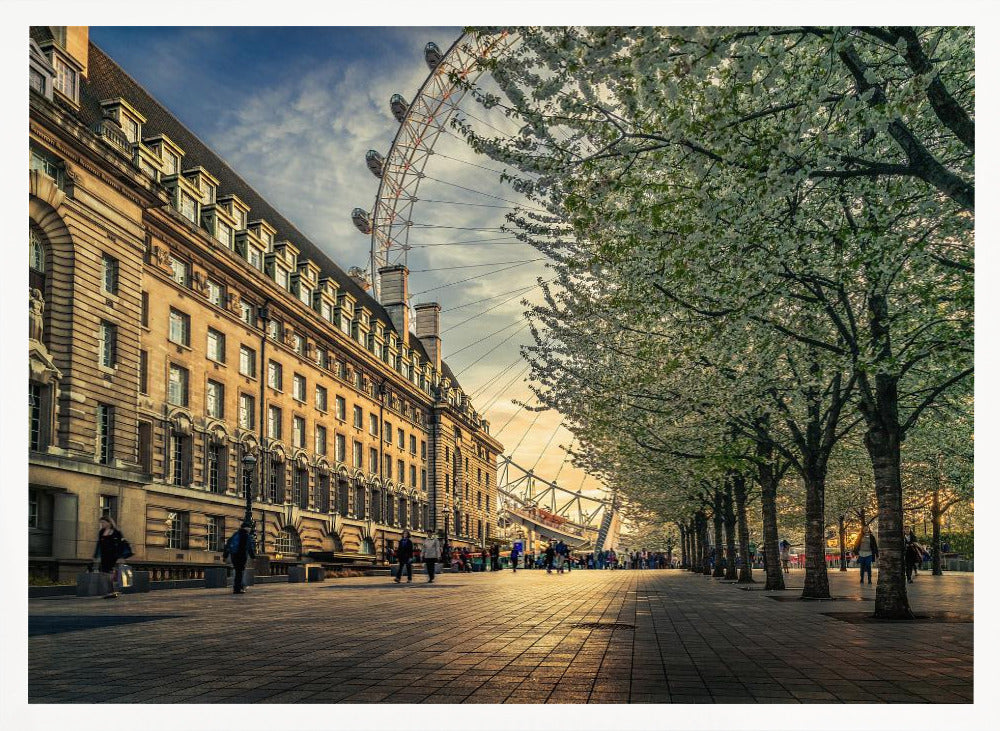 A scenic view of London's South Bank at sunset, with the London Eye visible in the background, a grand historic building on the left, and a row of white blossoming trees lining the sunlit promenade on the right. Wall Art