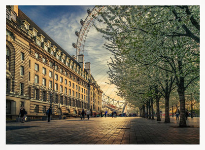 A scenic view of London's South Bank at sunset, with the London Eye visible in the background, a grand historic building on the left, and a row of white blossoming trees lining the sunlit promenade on the right. Wall Art