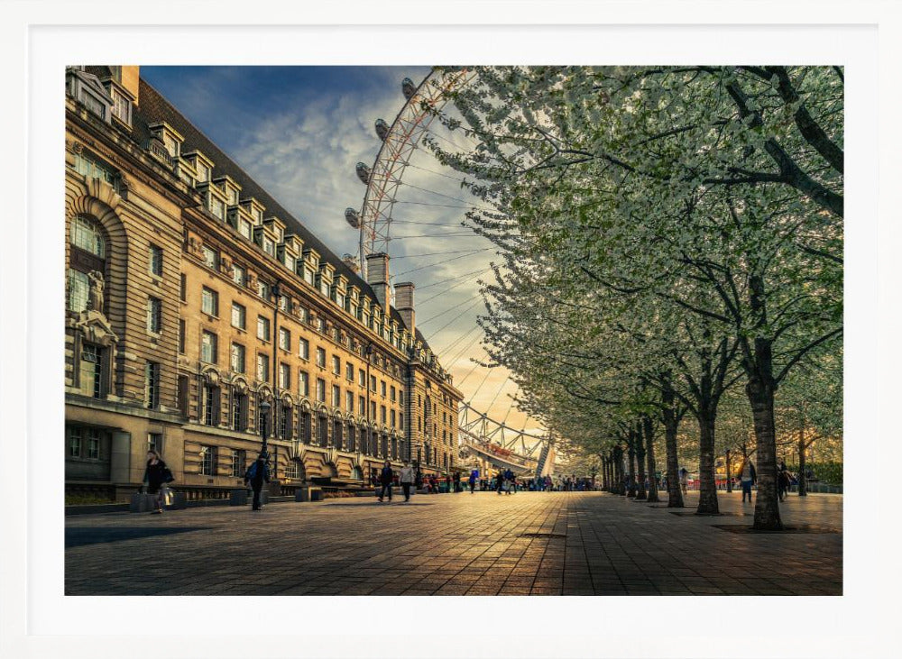 A scenic view of London's South Bank at sunset, with the London Eye visible in the background, a grand historic building on the left, and a row of white blossoming trees lining the sunlit promenade on the right. Wall Art