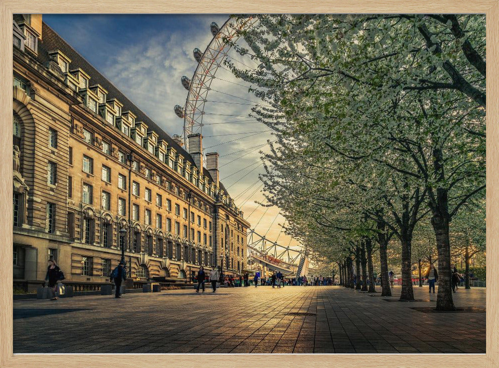 A scenic view of London's South Bank at sunset, with the London Eye visible in the background, a grand historic building on the left, and a row of white blossoming trees lining the sunlit promenade on the right. Wall Art