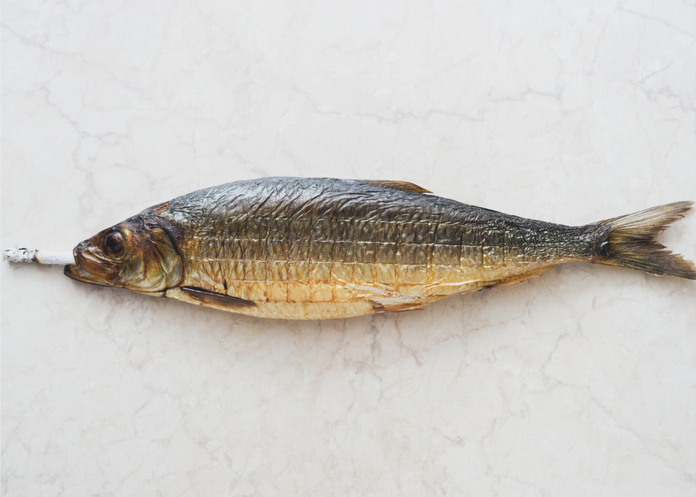 A surreal photograph of a whole smoked fish with a cigarette butt in its mouth, laying horizontally on a white marble surface, all within a silver frame. Wall Art