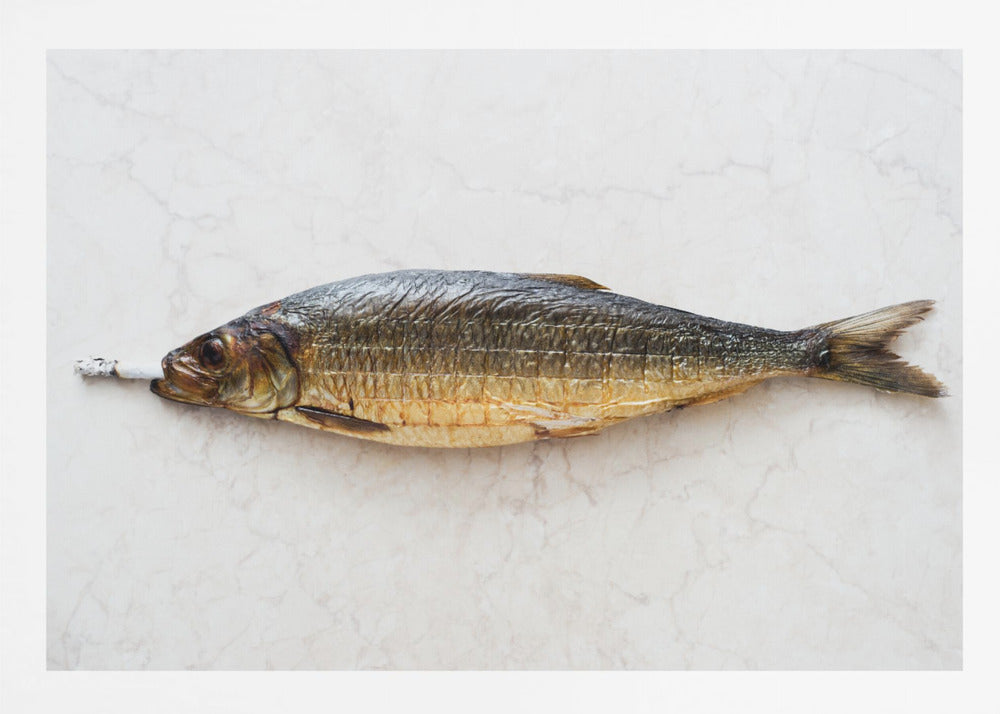 A surreal photograph of a whole smoked fish with a cigarette butt in its mouth, laying horizontally on a white marble surface, all within a silver frame. Wall Art