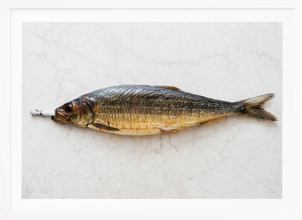 A surreal photograph of a whole smoked fish with a cigarette butt in its mouth, laying horizontally on a white marble surface, all within a silver frame. Wall Art