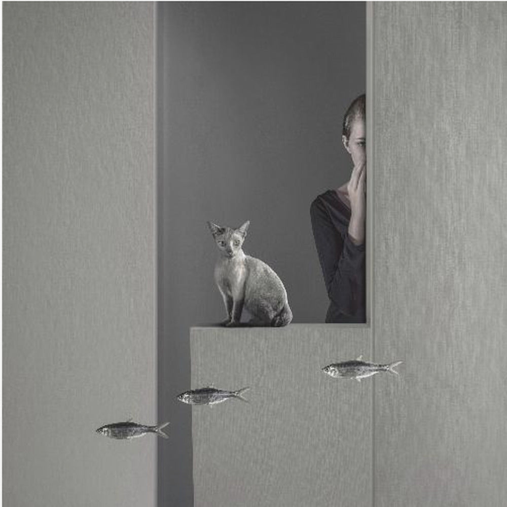 A framed, surreal monochrome photograph featuring a grey cat sitting on a ledge, with a woman partially hidden behind a wall peeking out. Three small fish appear to be floating in a line in the lower part of the image. Poster