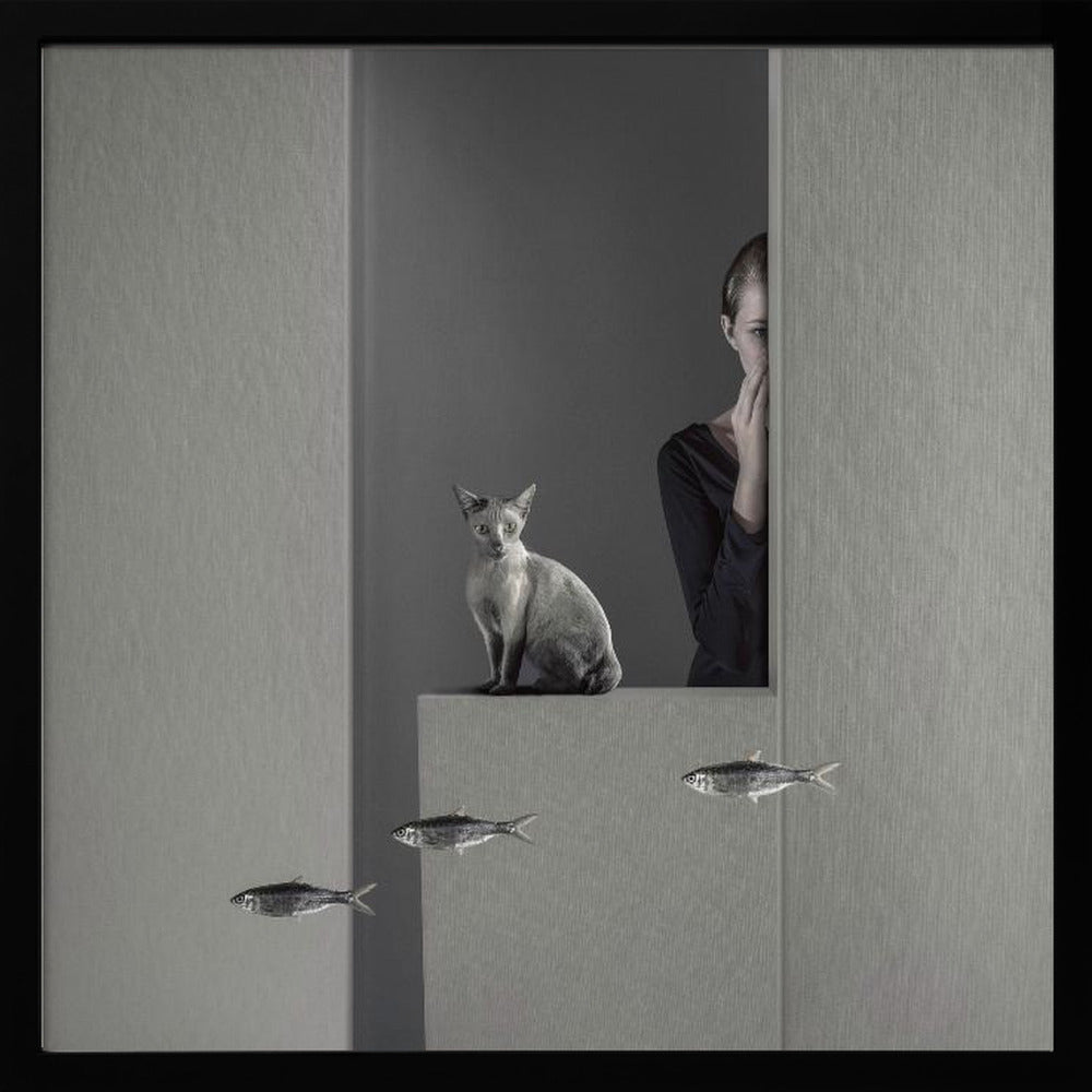 A framed, surreal monochrome photograph featuring a grey cat sitting on a ledge, with a woman partially hidden behind a wall peeking out. Three small fish appear to be floating in a line in the lower part of the image. Poster