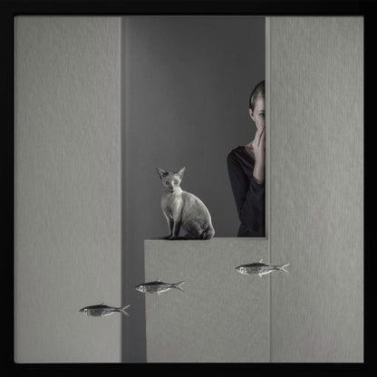 A framed, surreal monochrome photograph featuring a grey cat sitting on a ledge, with a woman partially hidden behind a wall peeking out. Three small fish appear to be floating in a line in the lower part of the image. Poster
