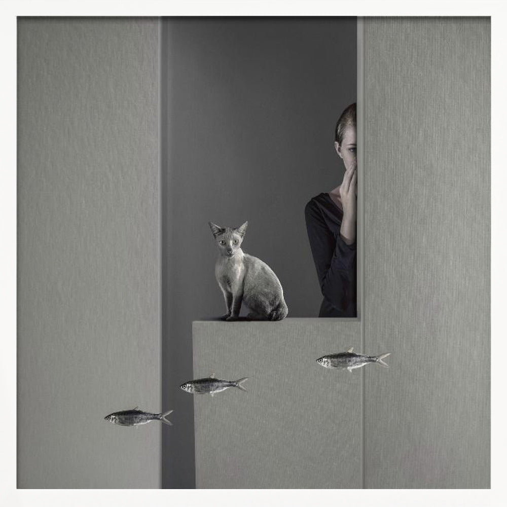 A framed, surreal monochrome photograph featuring a grey cat sitting on a ledge, with a woman partially hidden behind a wall peeking out. Three small fish appear to be floating in a line in the lower part of the image. Poster