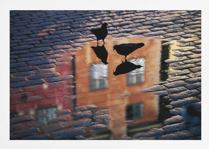 An artistic photograph of two silhouetted birds standing in a puddle on a wet cobblestone street. The puddle reflects an orange building with windows, and the birds' own reflections are visible beneath them, creating ripples in the water. The image is presented in a silver frame. Decor
