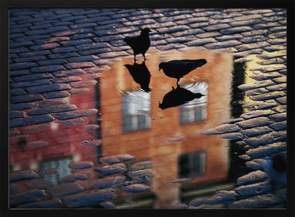 An artistic photograph of two silhouetted birds standing in a puddle on a wet cobblestone street. The puddle reflects an orange building with windows, and the birds' own reflections are visible beneath them, creating ripples in the water. The image is presented in a silver frame. Decor