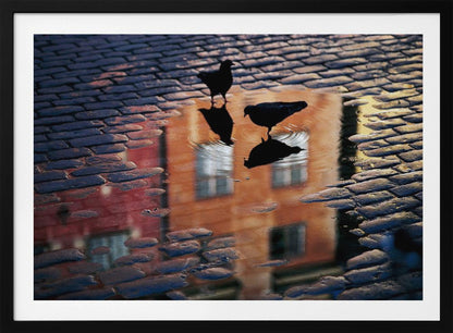 An artistic photograph of two silhouetted birds standing in a puddle on a wet cobblestone street. The puddle reflects an orange building with windows, and the birds' own reflections are visible beneath them, creating ripples in the water. The image is presented in a silver frame. Decor