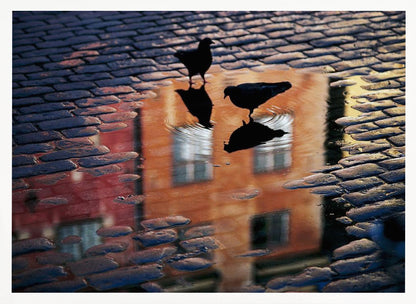 An artistic photograph of two silhouetted birds standing in a puddle on a wet cobblestone street. The puddle reflects an orange building with windows, and the birds' own reflections are visible beneath them, creating ripples in the water. The image is presented in a silver frame. Decor