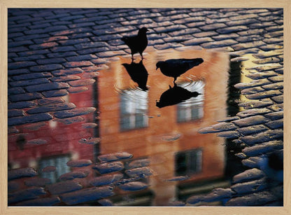An artistic photograph of two silhouetted birds standing in a puddle on a wet cobblestone street. The puddle reflects an orange building with windows, and the birds' own reflections are visible beneath them, creating ripples in the water. The image is presented in a silver frame. Decor