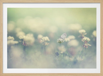 A delicate white butterfly with black spots rests on a white clover flower in a dreamy, soft-focus photograph. The background is a blur of a green and cream-colored meadow, creating a peaceful and ethereal atmosphere. Print