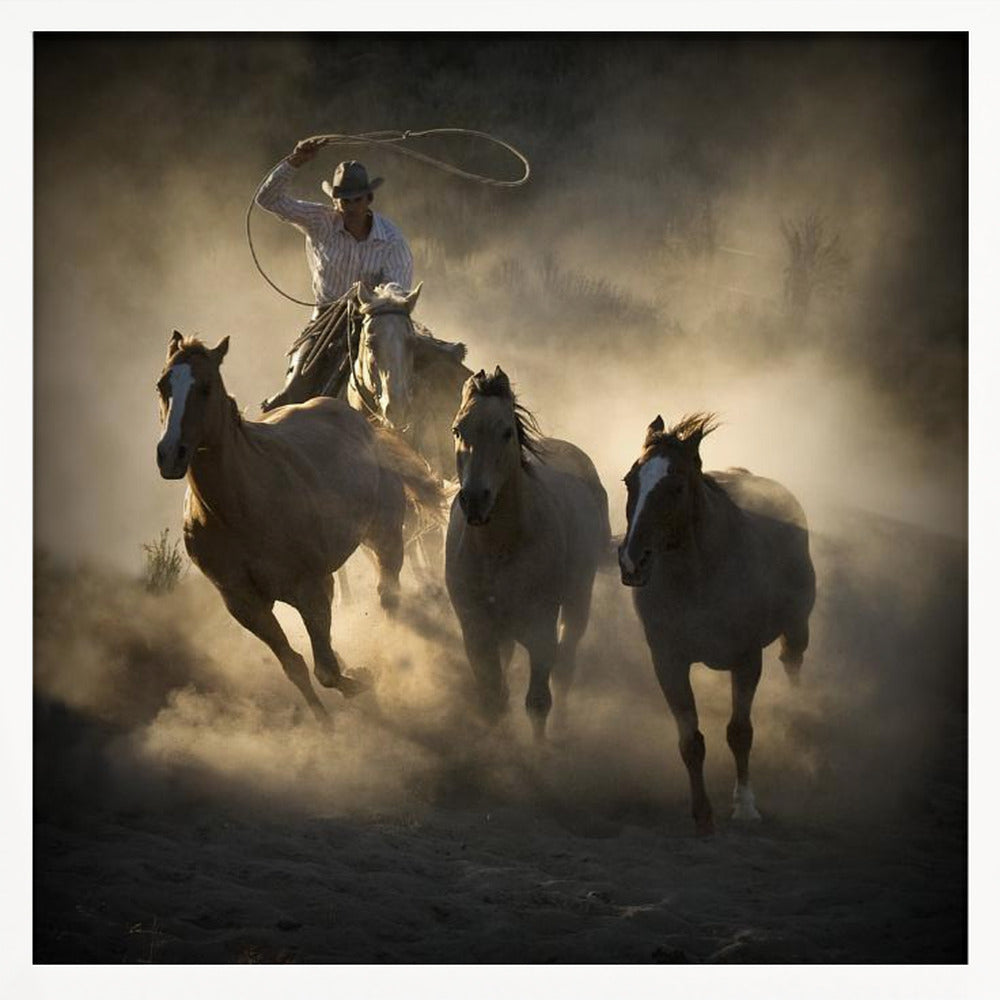 A dramatic, backlit photograph of a cowboy on horseback herding a small group of horses, kicking up a large cloud of dust as they gallop through a rustic landscape at sunrise or sunset. Poster