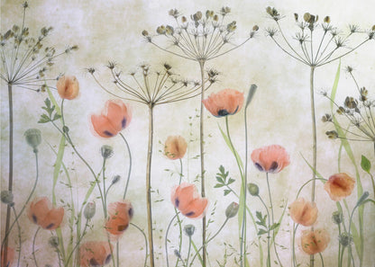 A delicate botanical artwork in a silver frame, featuring translucent orange poppies and the skeletal forms of dried Queen Anne's lace against a soft, textured cream background, creating a dreamy, ethereal meadow scene. Decor