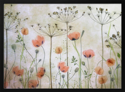 A delicate botanical artwork in a silver frame, featuring translucent orange poppies and the skeletal forms of dried Queen Anne's lace against a soft, textured cream background, creating a dreamy, ethereal meadow scene. Decor
