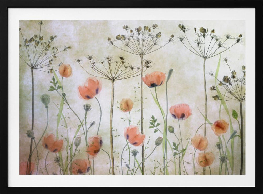 A delicate botanical artwork in a silver frame, featuring translucent orange poppies and the skeletal forms of dried Queen Anne's lace against a soft, textured cream background, creating a dreamy, ethereal meadow scene. Decor